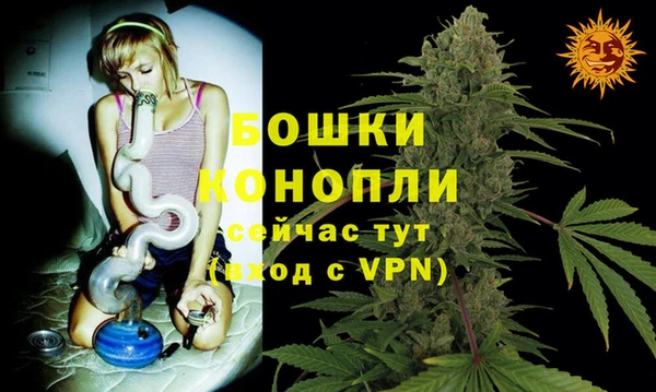 трава Алзамай