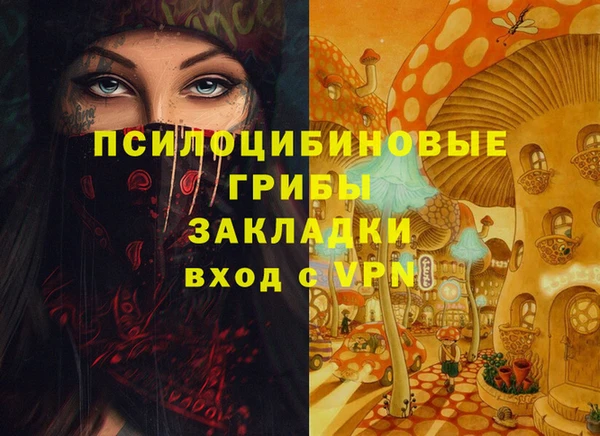 трава Алзамай