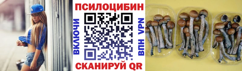 Псилоцибиновые грибы Psilocybine cubensis  Черепаново 